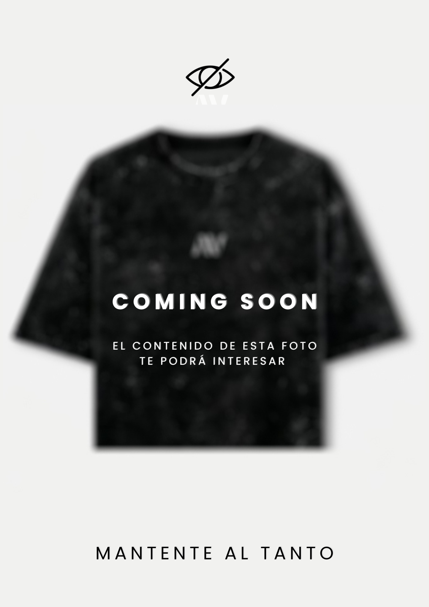 CAMISETA SOFT BOXY